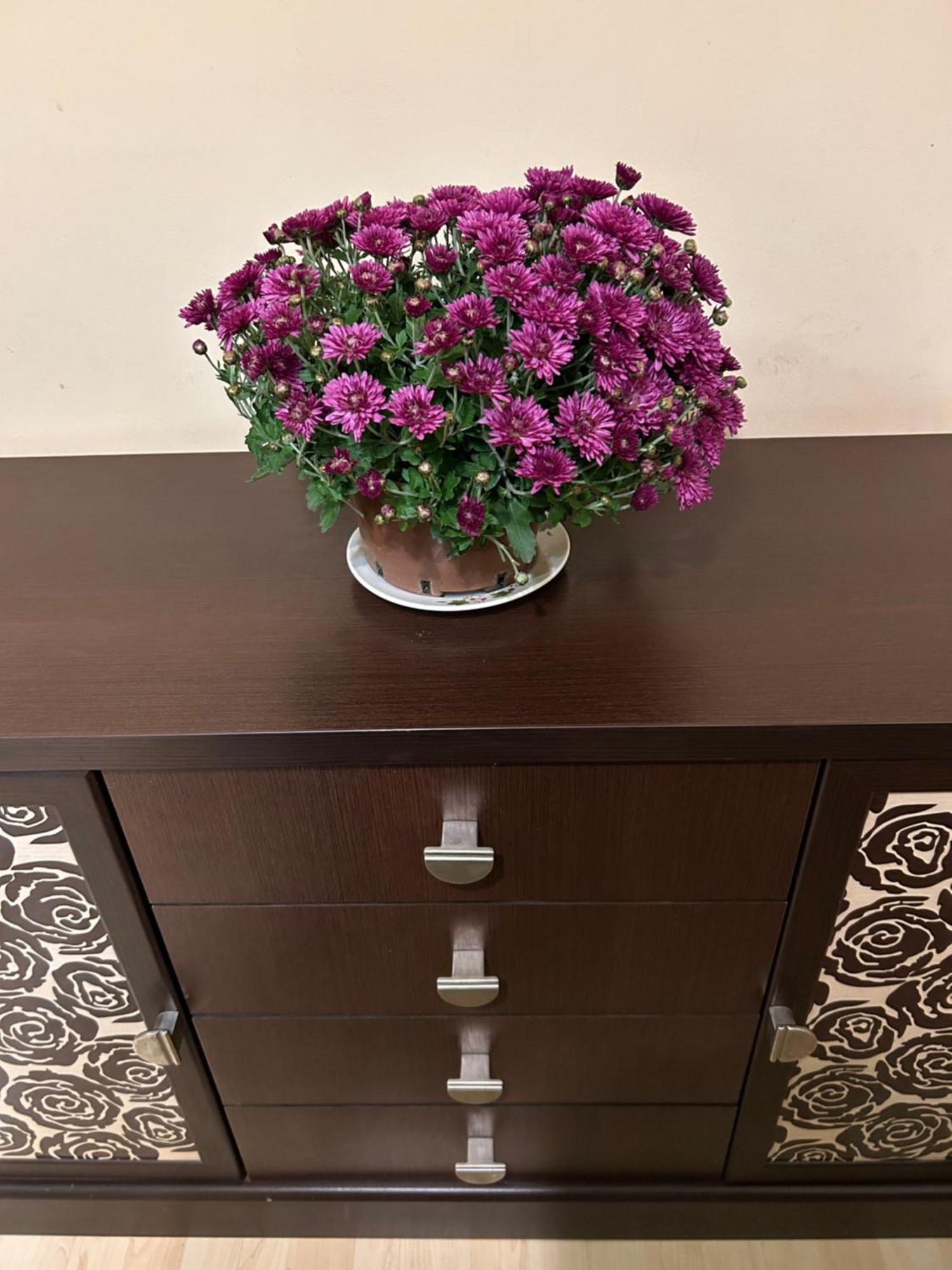 ריבנה Three Bedroom Stepana Bandery Street מראה חיצוני תמונה